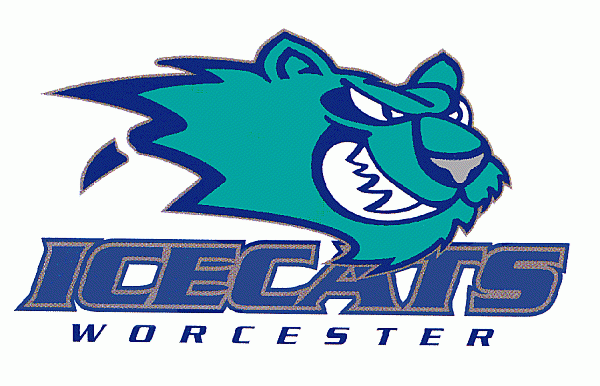 Worcester IceCats 1996 97-2001 02 Primary Logo iron on transfers for clothing